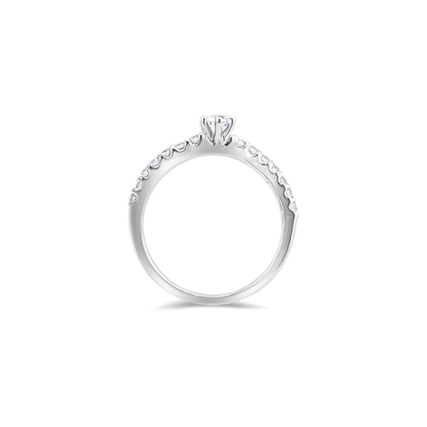 Scott Cashmere 18k White Gold with Diamond - Ring Style 12 (Size: 12)