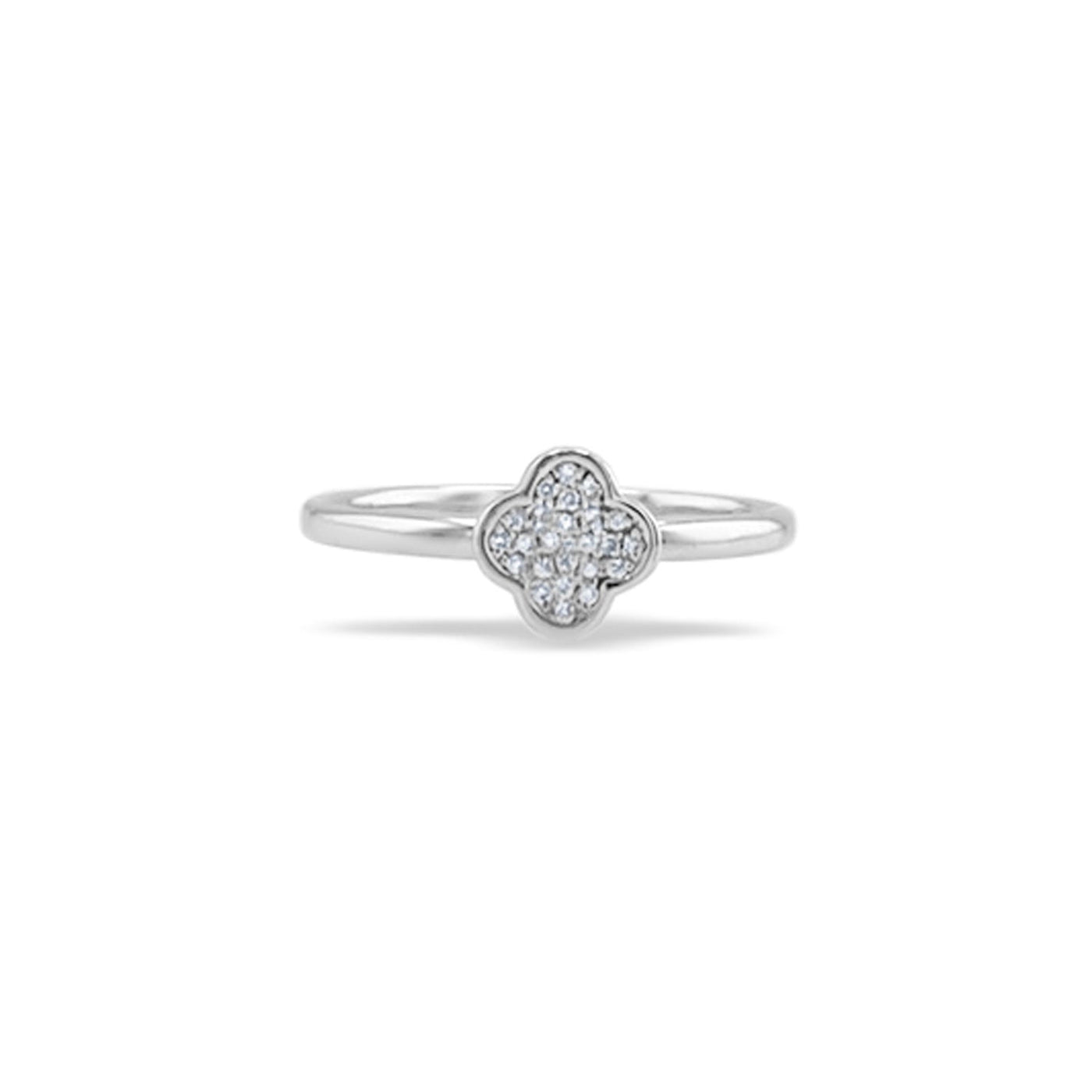 Scott Cashmere 18k White Gold with Diamond - Ring Style 11 (Size: 14)