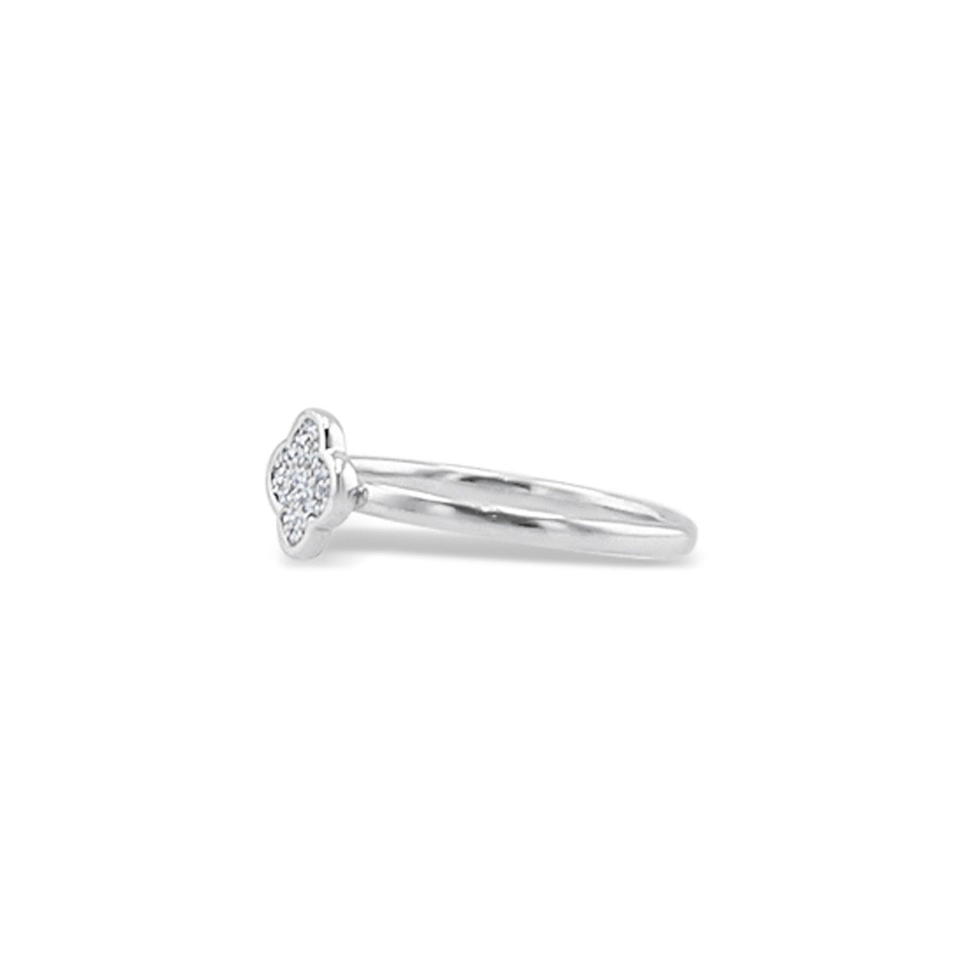 Scott Cashmere 18k White Gold with Diamond - Ring Style 11 (Size: 14)