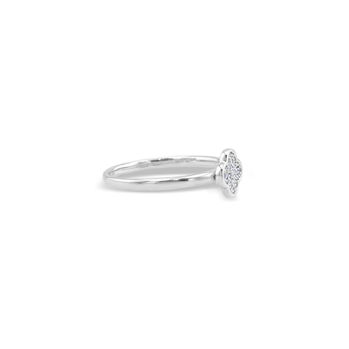 Scott Cashmere 18k White Gold with Diamond - Ring Style 11 (Size: 14)