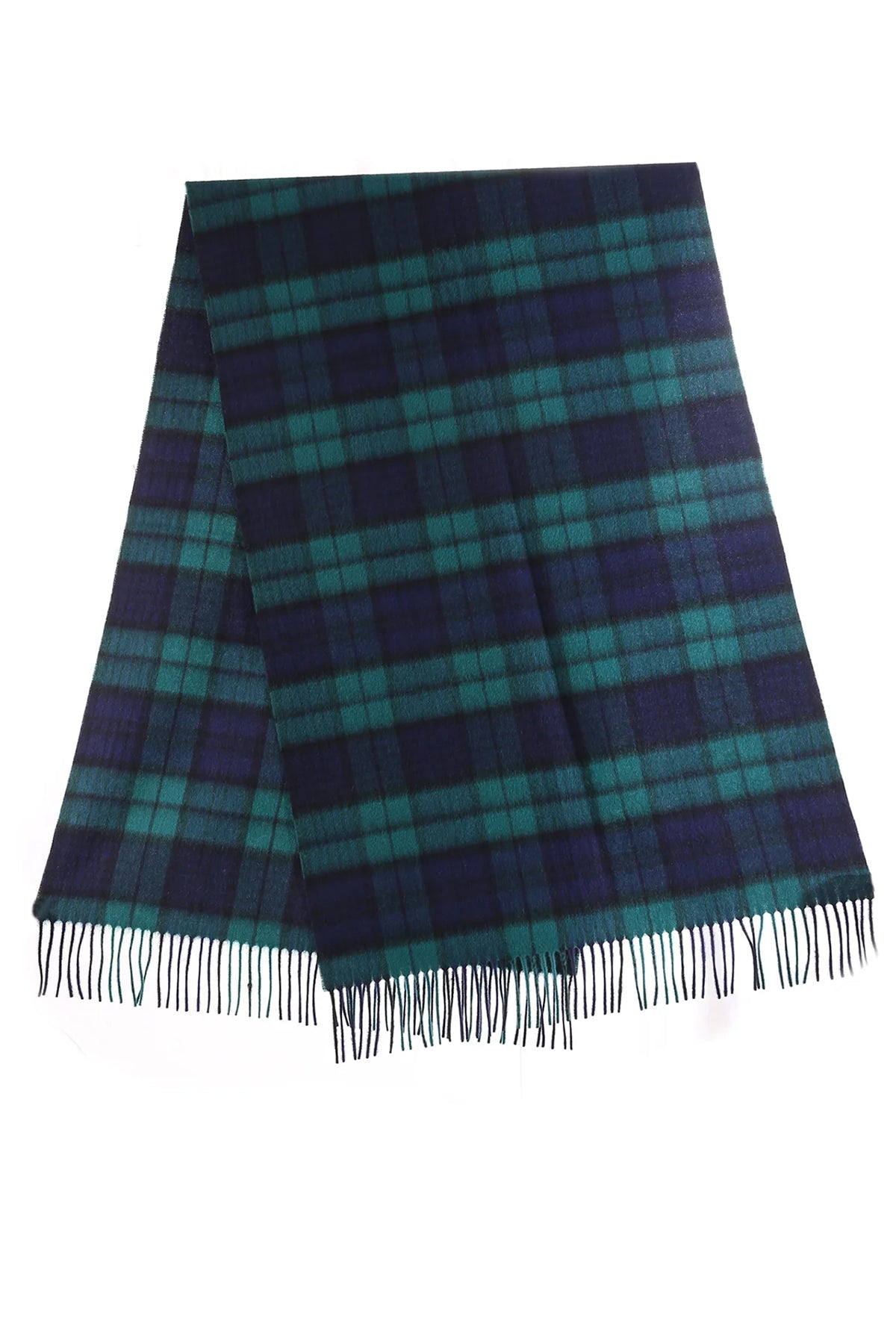 블랙 워치는 100% 순수 램스울을 훔쳤습니다.